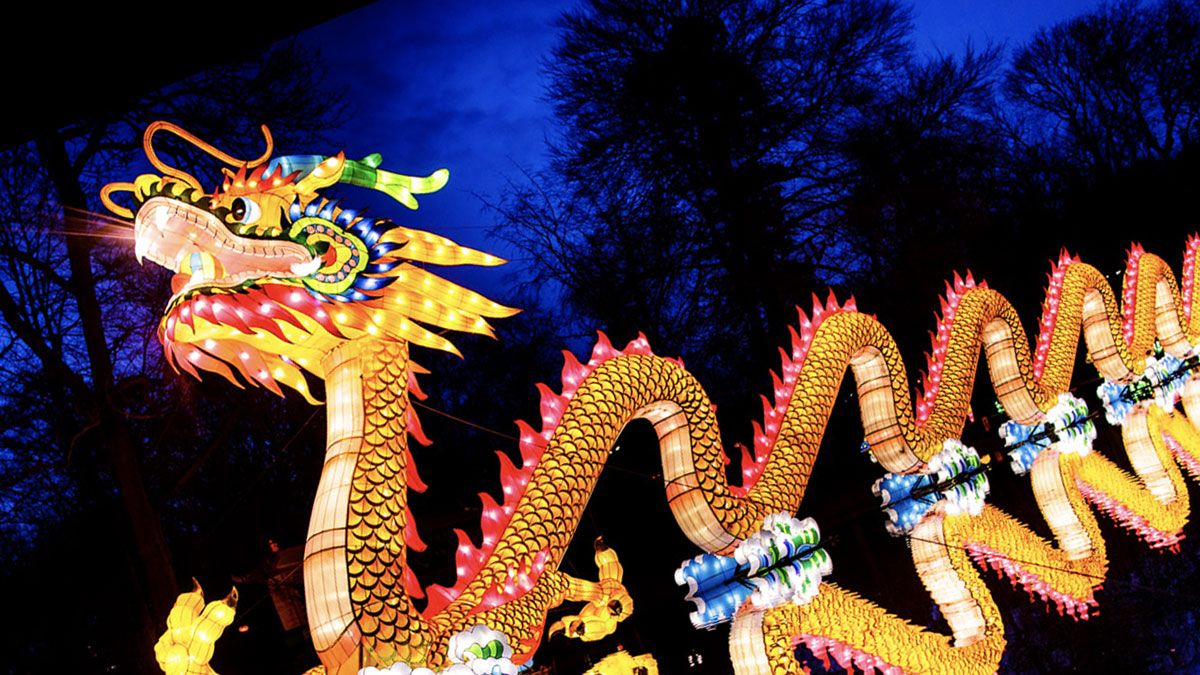 Tickets, Packages, Hotels for Asian Lantern Festival Into the Wild