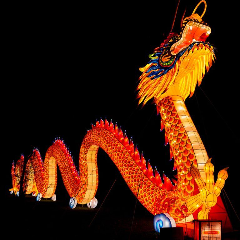 Tickets, Packages, Hotels for Asian Lantern Festival Into the Wild